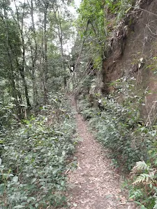 Track below cliffs