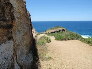 Wybung Head management trail cut into the rock