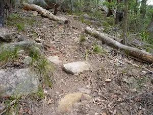 Rocky track Olney State Forest