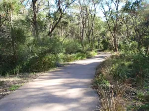 Concrete trail near Zig Zag creek