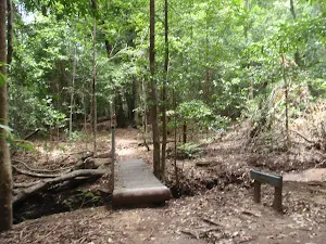 coming back to the eastern end of the forest