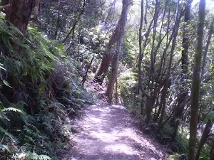 Round Walk track