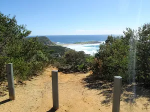 Timber Beach Lookout