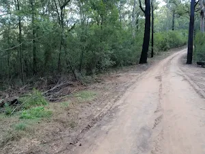 Nepean Lookout fire trail