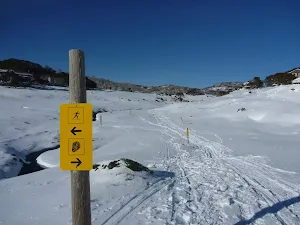 Following the posts with yellow signs