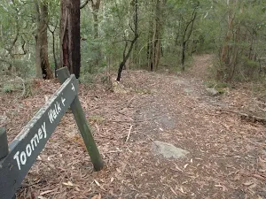 Toomey walk sign