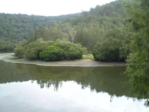 Berowra Creek just out of Crosslands