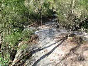 Top of the Natural Bridge