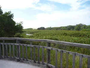Owens Wetland Viewpoint