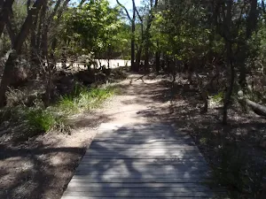 Track to Ocean Beaches