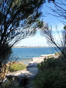 Jibbon Loop Track