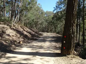 Dubbo Gully Rd management trail