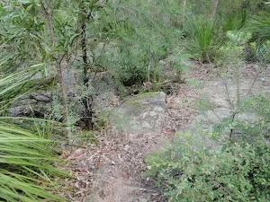 Track to campsite from Creek Junctions