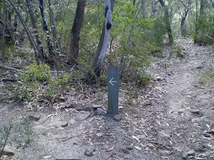 Following the track markers