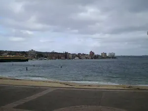 Manly harbourside