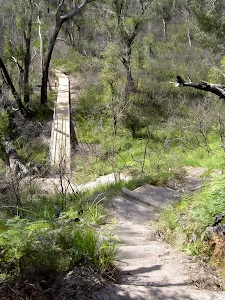 Hayward Gully