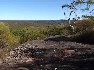 Panorama over Ku-ring-gai Chase NP from the Wallaroo track