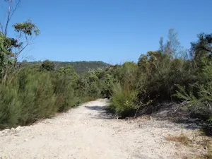 Currie Rd Track