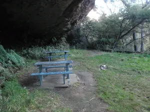 Picnic tables at Lyrebird Dell