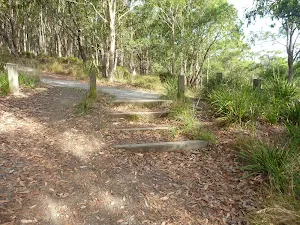 Stepped track in Green Point Reserve