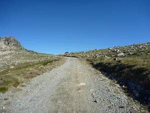 Trail looking up towards Seamans Hut