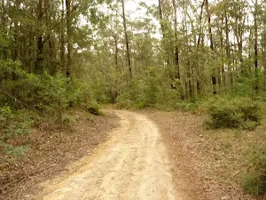German Point Rd in the Watagans