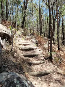 By-pass track