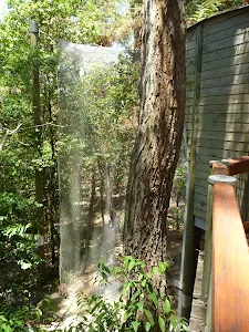 Bird avairy on the Wildlife Exhibits in  Blackbutt Reserve