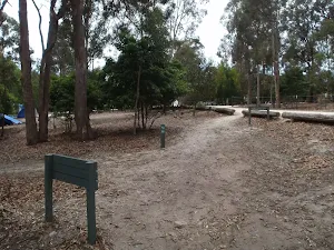 Track next to Bittangabee car park