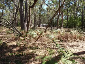 Track away from Hobart Beach camping area