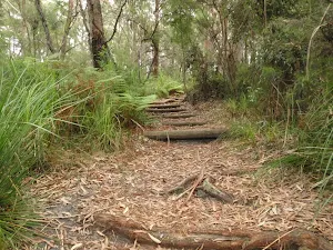 Steps on Graves Walk