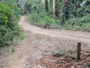 int of warrawolong road