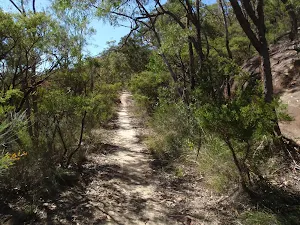 Narrow section of the OGNR east of the clearing