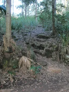Track to Palona Cave as it leaves Lady Carrington Dr