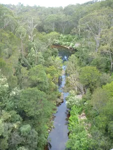 Lane Cove River and Blue Pool from De Burghs Bridge