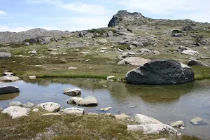 Wilkinsons Creek