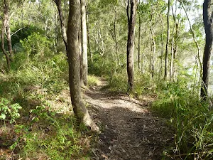 Track near Lake Macquarie in Green Point Reserve