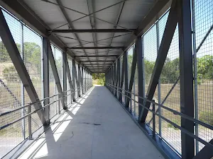 The Pedestrian over bridge on the Wallarah Pennisula Walk