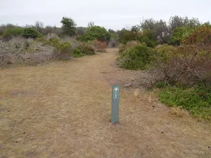 Arrow marker along the grassed headland