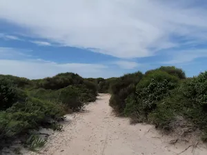Coast Track