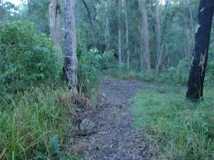 Great North Walk