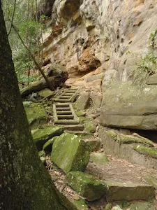 Steps at the base of the cliff on the Guringai Walk