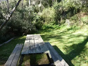 Birralee Bush camp