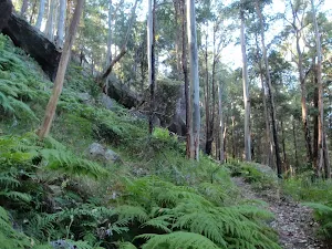 Track up valley hill