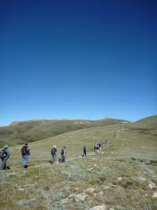 Walkers on Main Range track at Int of Main Range and Muellers Peak track