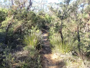 Castle Head Norther Track