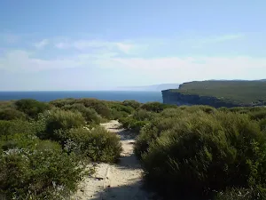 Coast Track viewing south