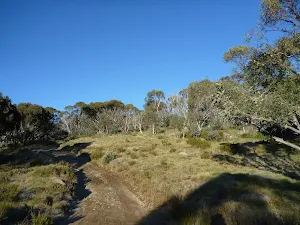 Cascade Trail
