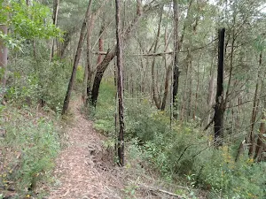 Heading into Glenbrook Gorge Florabella Track