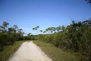 Bairne Track to the Basin Lookout